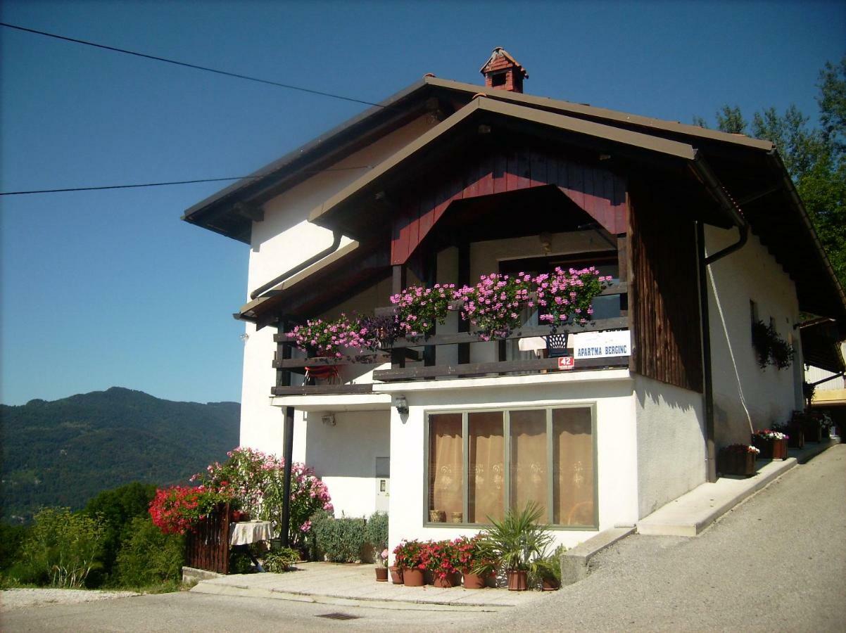 Apartmaji Berginc Apartment