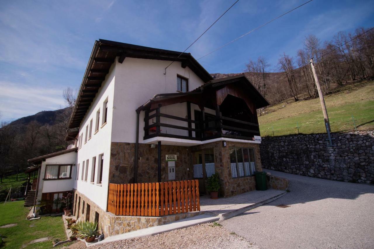Apartmaji Berginc *