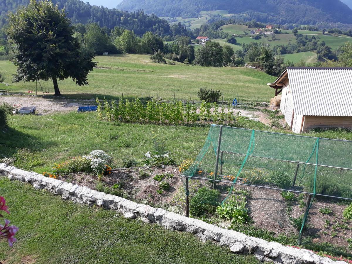 Apartmaji Berginc