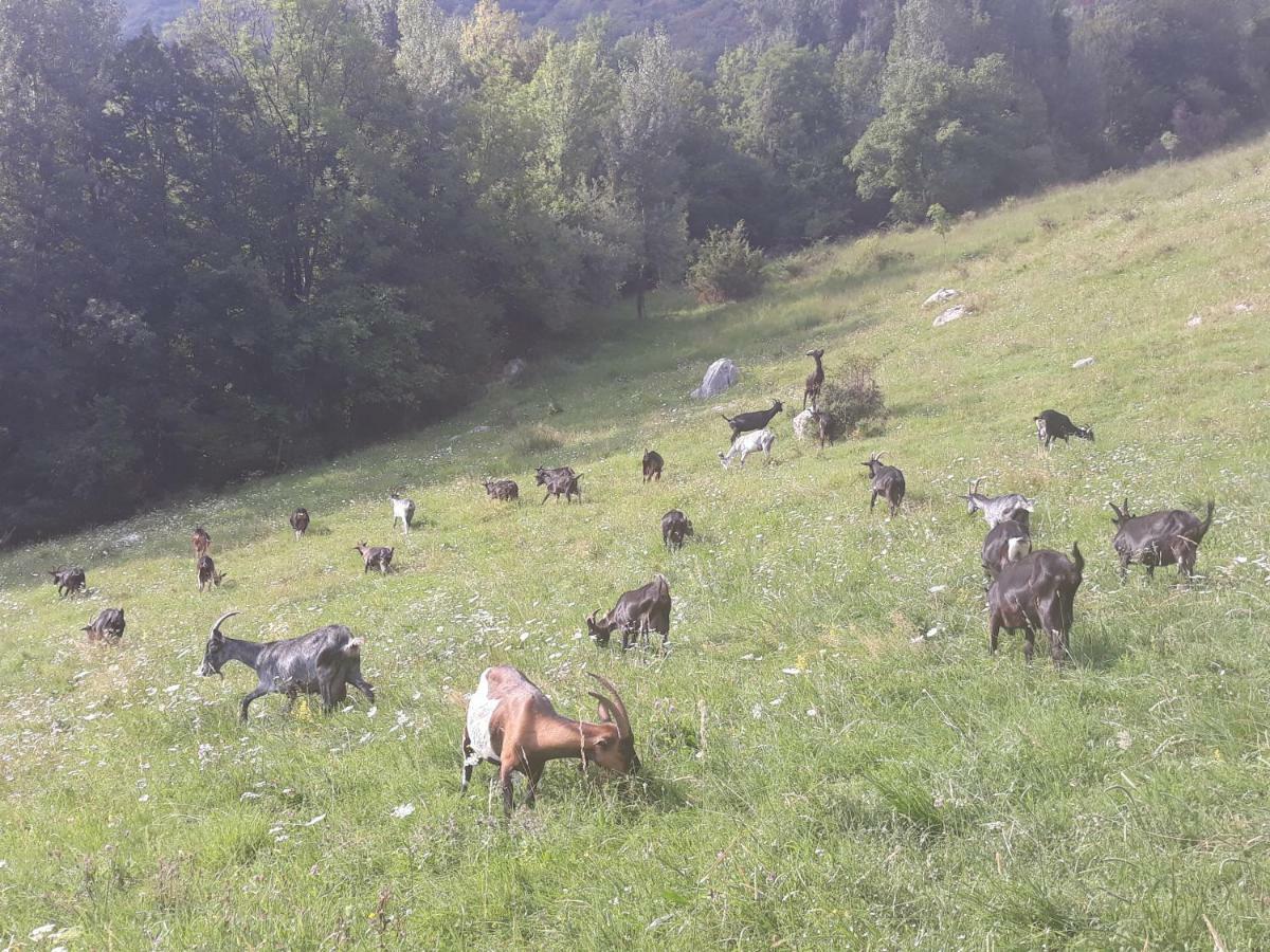 Apartmaji Berginc Kobarid